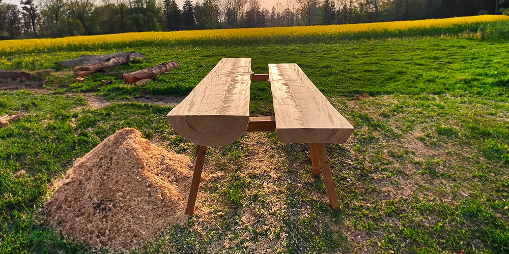 Im Vordergrund ein Baumstamm der in der halbiert ist. Im Hintergrund eine grüne Wiese im Sonnenuntergang